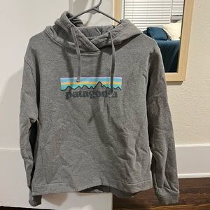 Patagonia Women’s Medium Hoodie / Gray